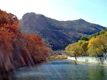 新澳天天开奖资料大全旅游团，上海电脑培训